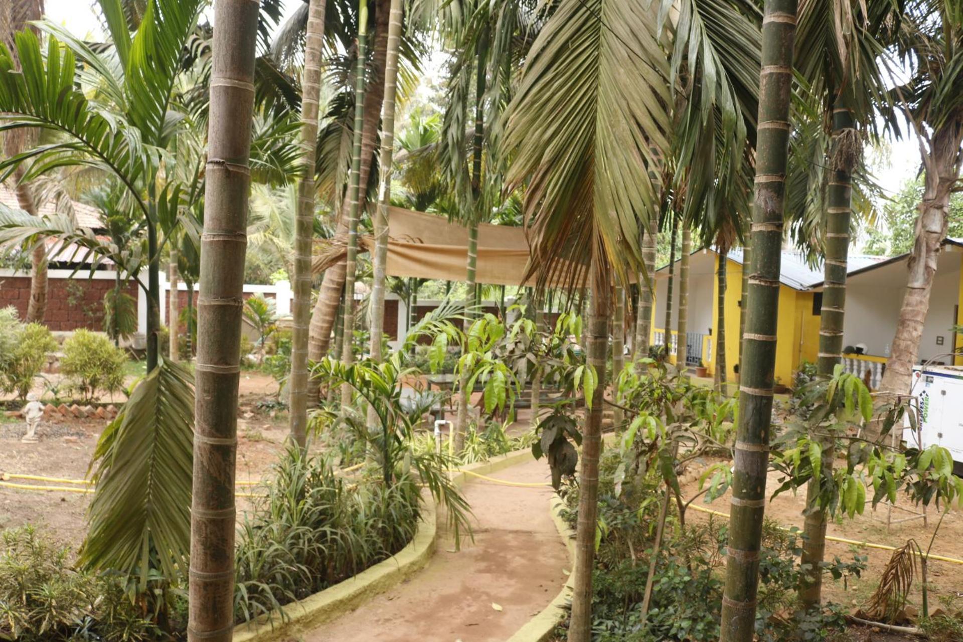 Lavish Exotic Hotel & Apartments Arambol Exterior foto